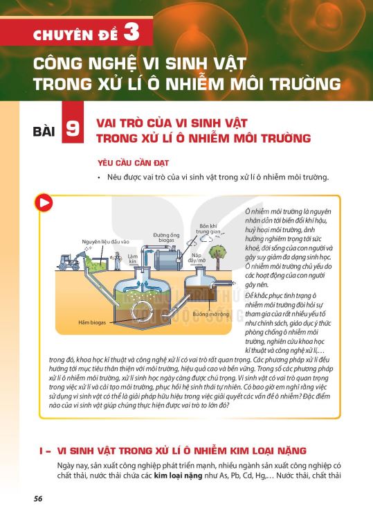 bai-9-vai-tro-cua-vi-sinh-vat-trong-xu-li-o-nhiem-moi-truong-13230