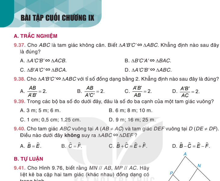 bai-tap-cuoi-chuong-ix-8532