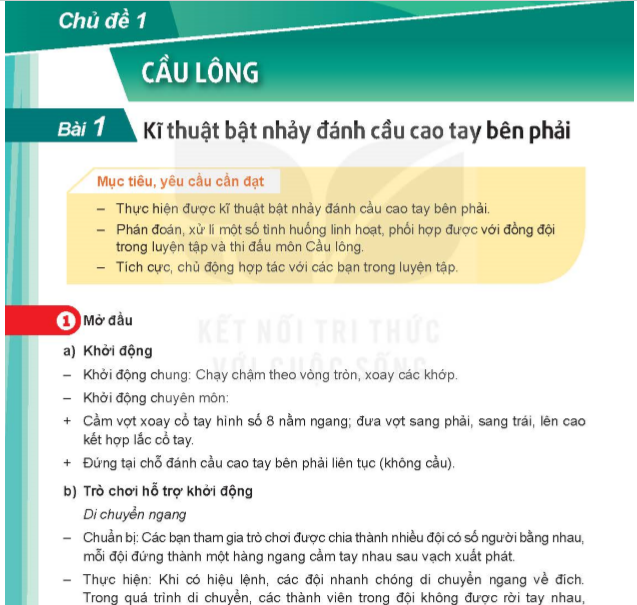 chu-de-1-cau-long-7717