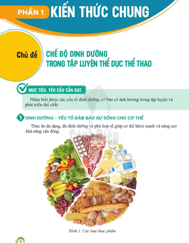 chu-de-che-do-dinh-duong-trong-tap-luyen-the-duc-the-thao-9632