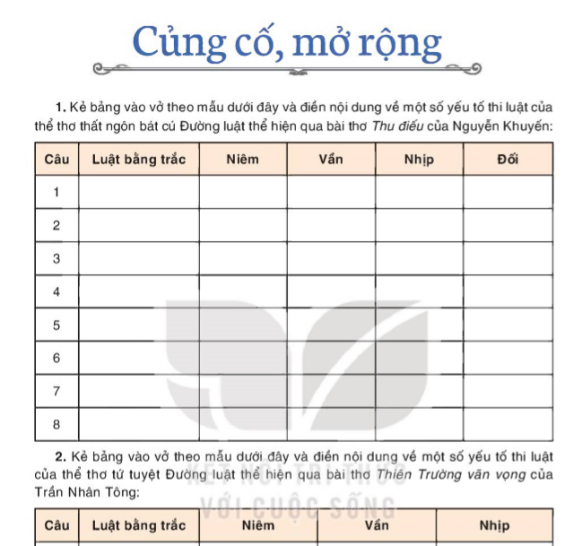 cung-co-mo-rong-8947