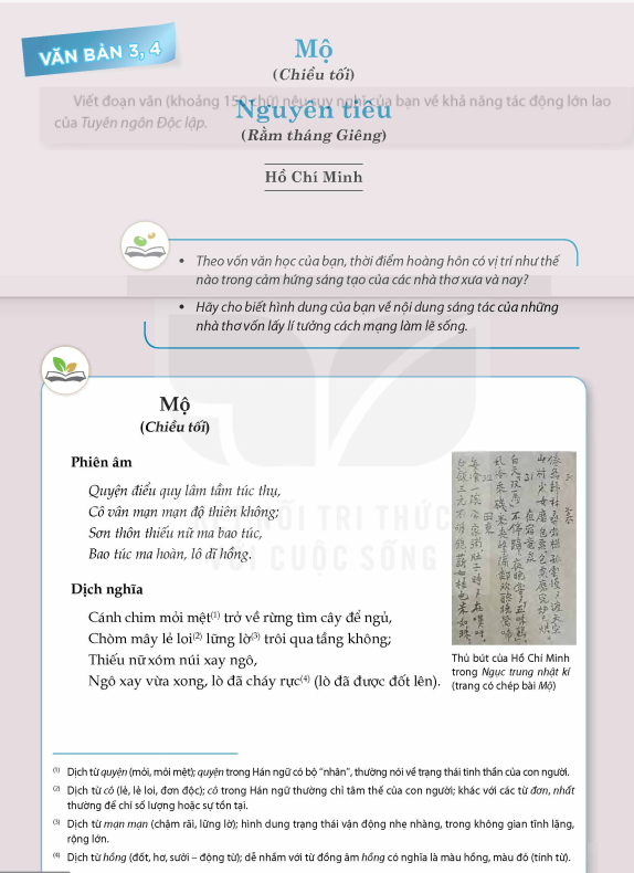 doc-mo-nguyen-tieu-12501