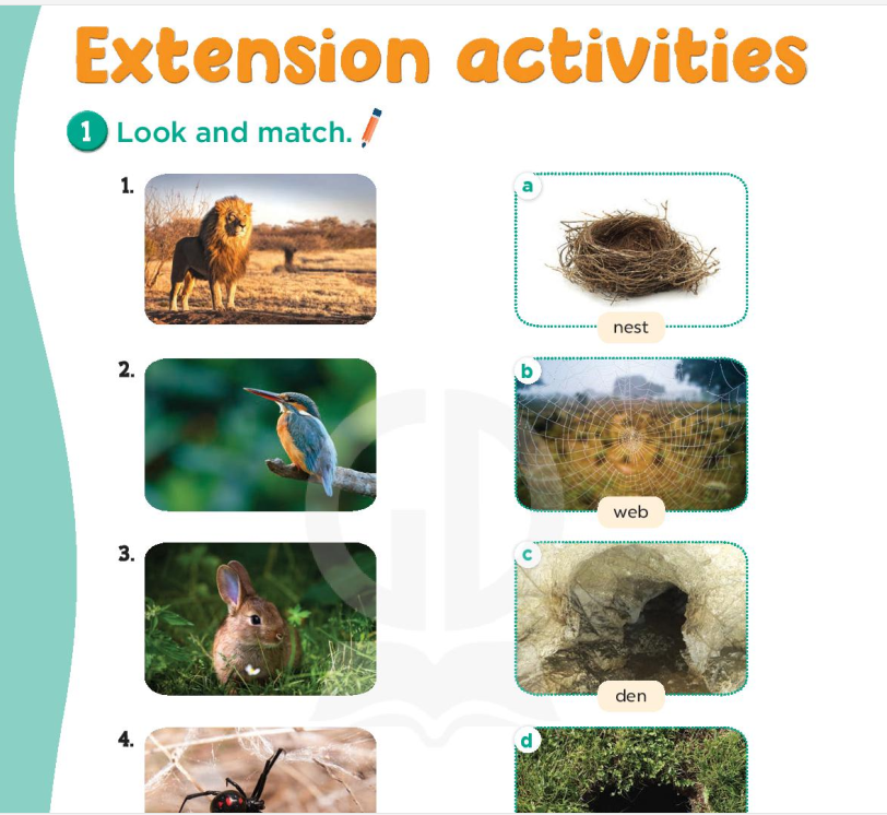 extension-activities-8492