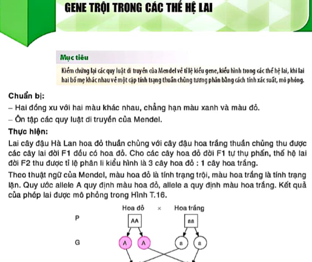 gene-troi-trong-cac-the-he-lai-7706