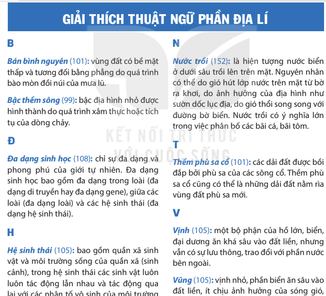 giai-thich-thuat-ngu-phan-dai-li-7153