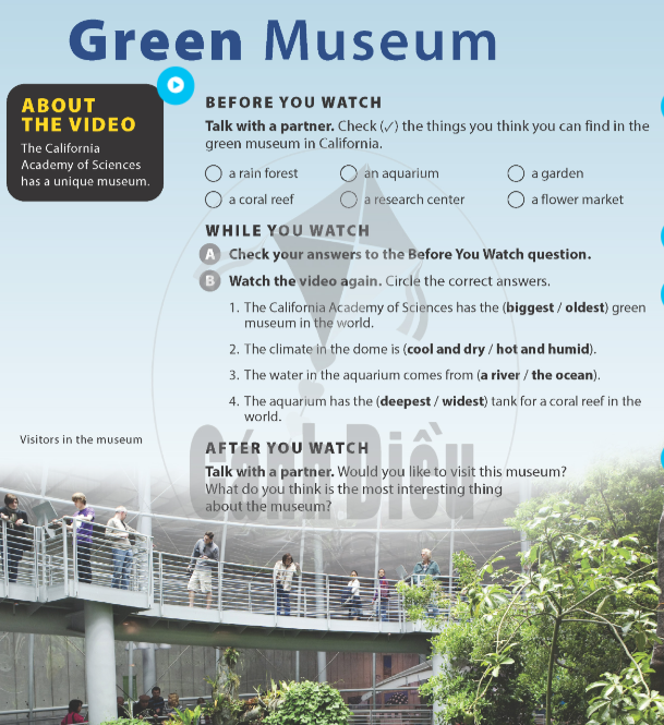 green-museum-10128