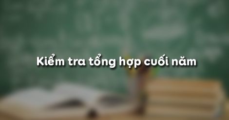 kiem-tra-tong-hop-cuoi-nam-2219