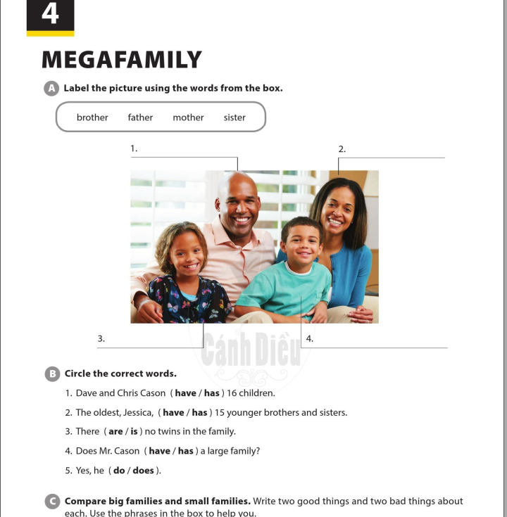 megafamily-9390