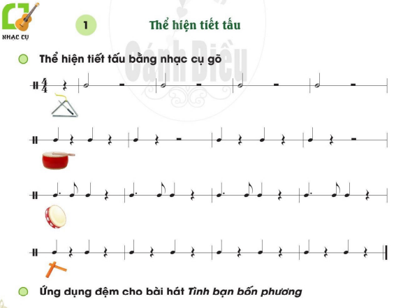 nhac-cu-the-hien-tiet-tau-hoa-tau-10345