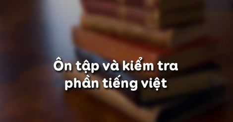 on-tap-va-kiem-tra-phan-tieng-viet-2207