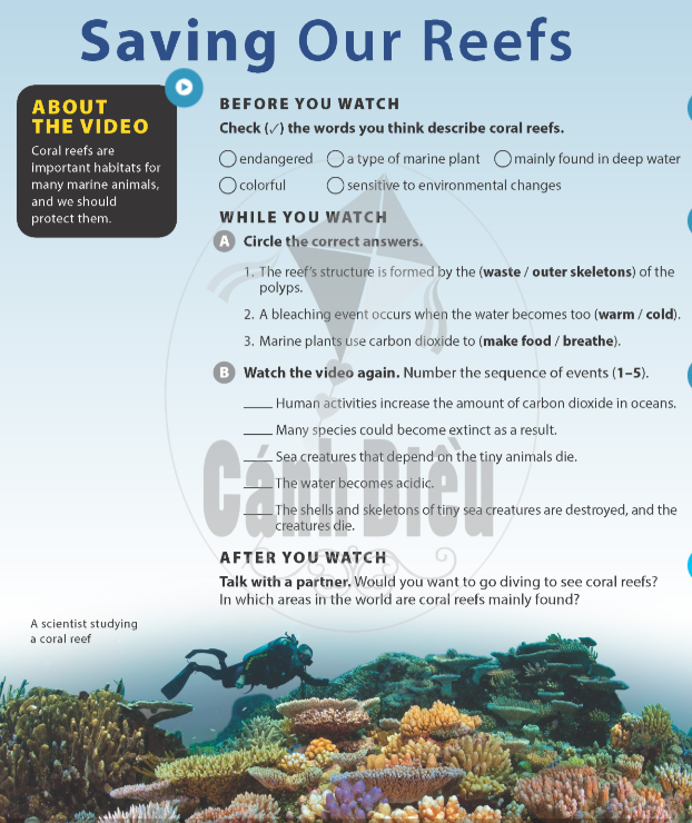 saving-our-reefs-10126