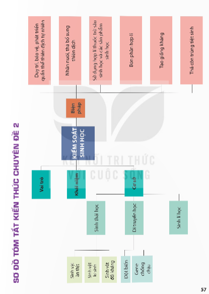 so-do-tom-tat-kien-thuc-chuyen-de-2-13943