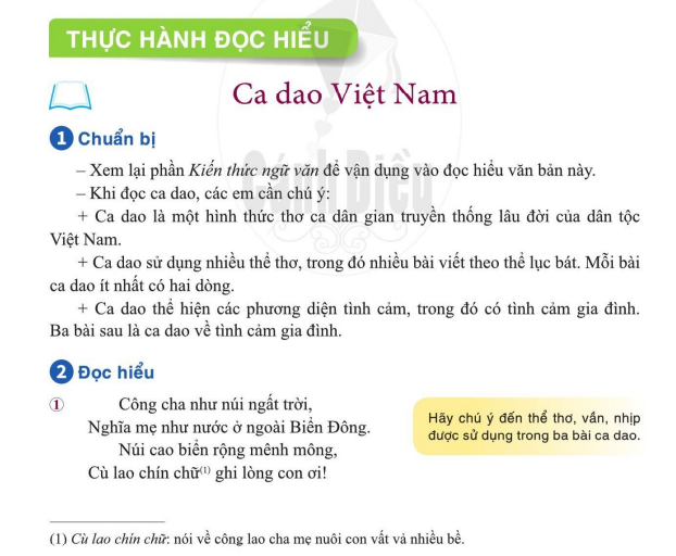 thuc-hanh-doc-hieu-11104