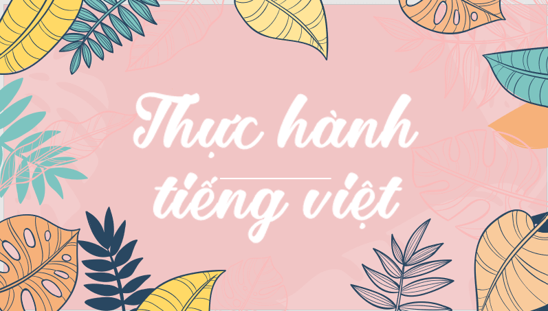 thuc-hanh-tieng-viet-trang-113-7805