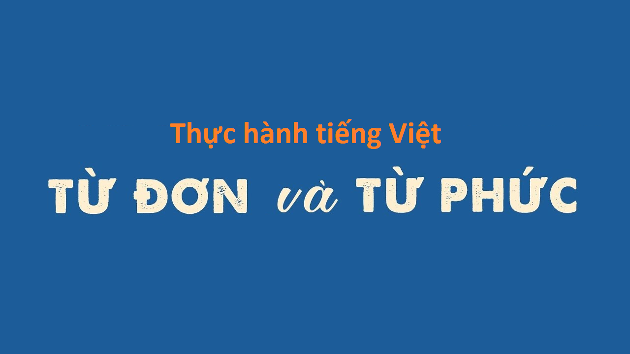 thuc-hanh-tieng-viet-trang-20-5444