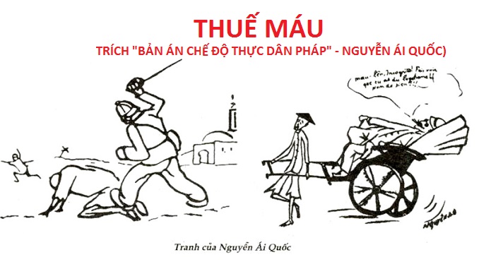 thue-mau-2189