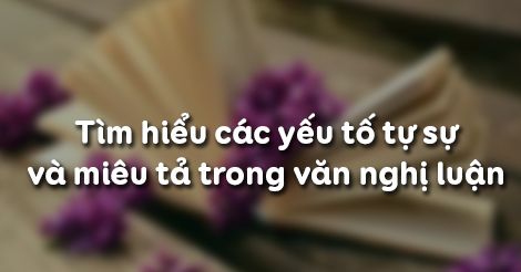 tim-hleu-cac-yeu-to-tu-su-va-mieu-ta-trong-van-nghi-luan-2198