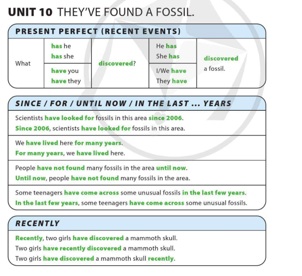 unit-10-theyve-found-a-fossil-10667