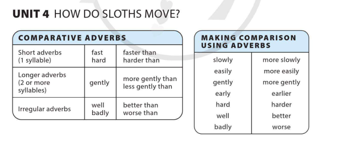 unit-4-how-do-sloths-move-10661