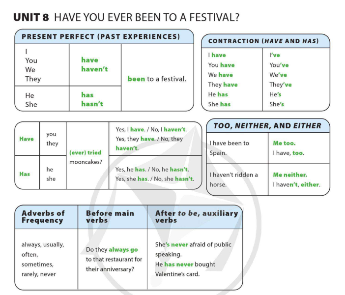 unit-8-have-you-ever-been-to-a-festival-10665