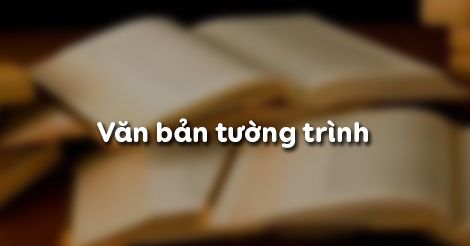 van-ban-tuong-trinh-2208