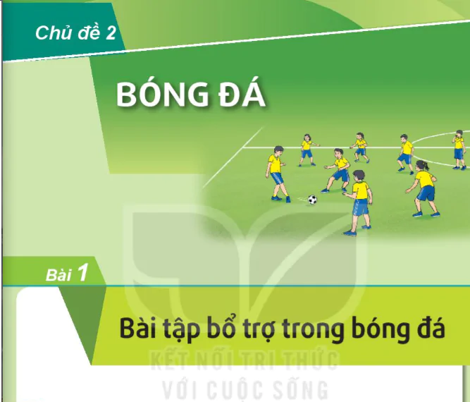 Bài 1: Bài tập bổ trợ trong bóng đá - Chủ đề 2: Bóng đá