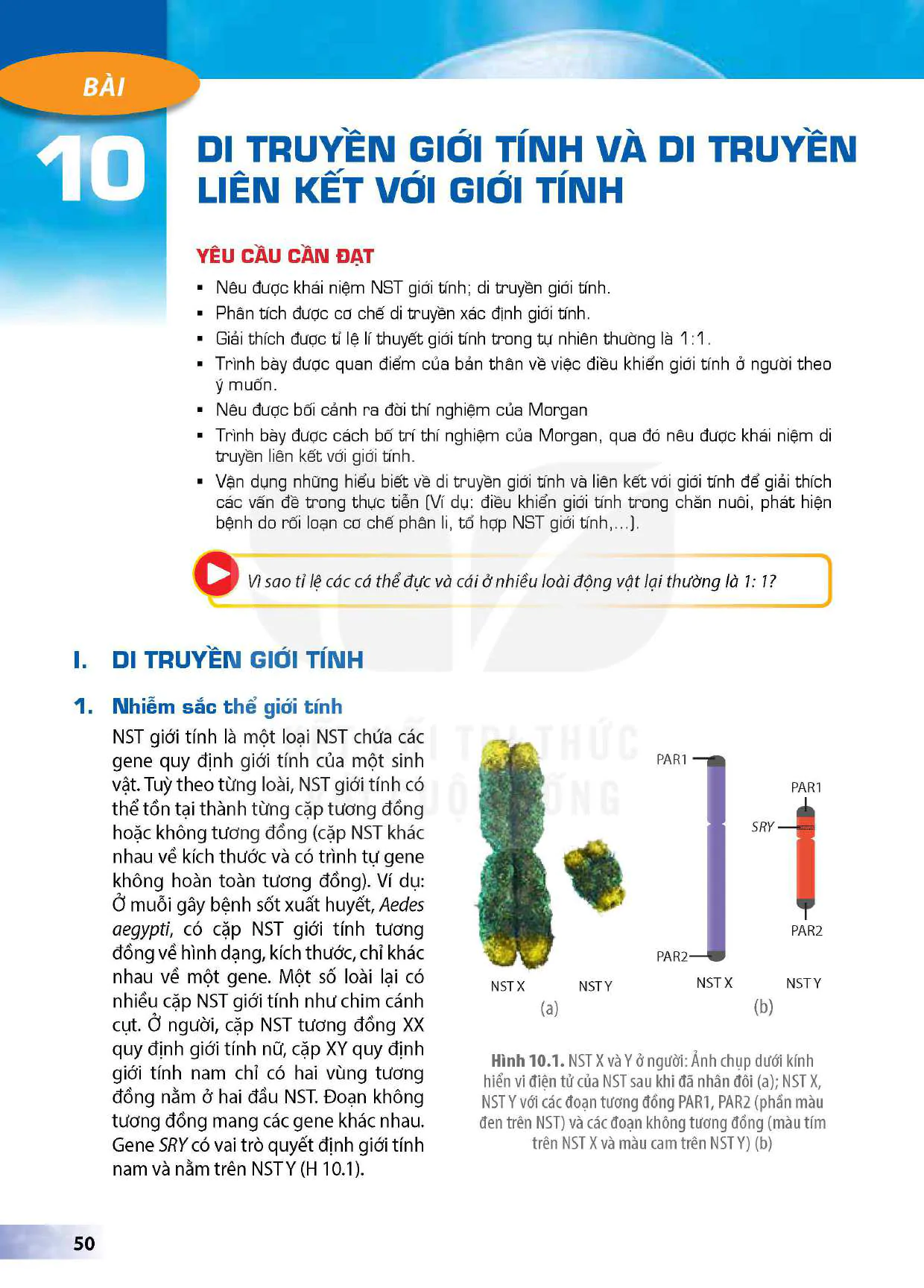 Bài 10: Di truyền giới tính và Di truyền liên kết với giới tính