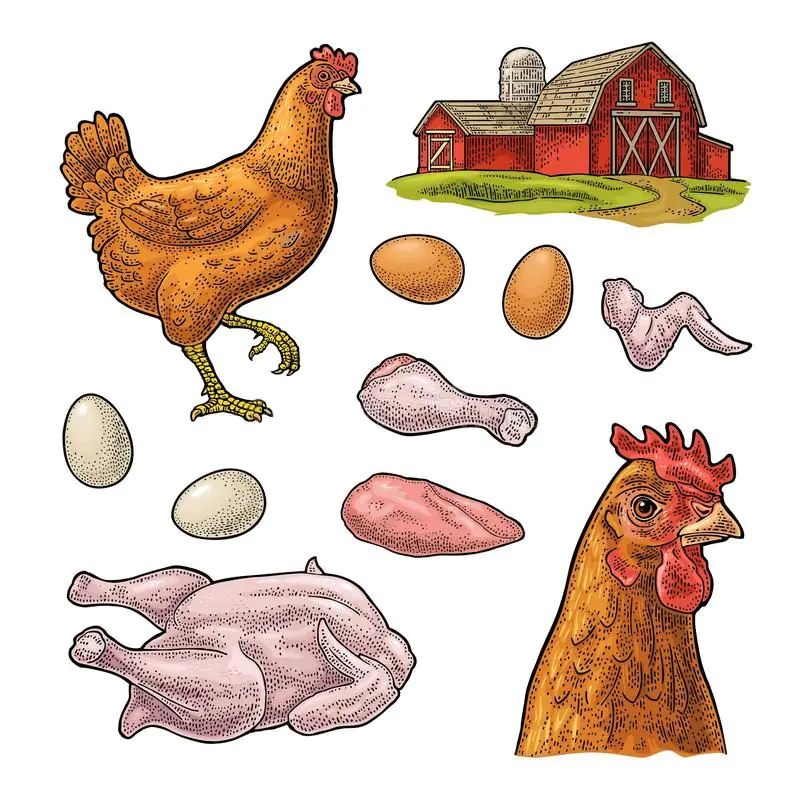 Bài 10. Lợi ích của việc nuôi gà