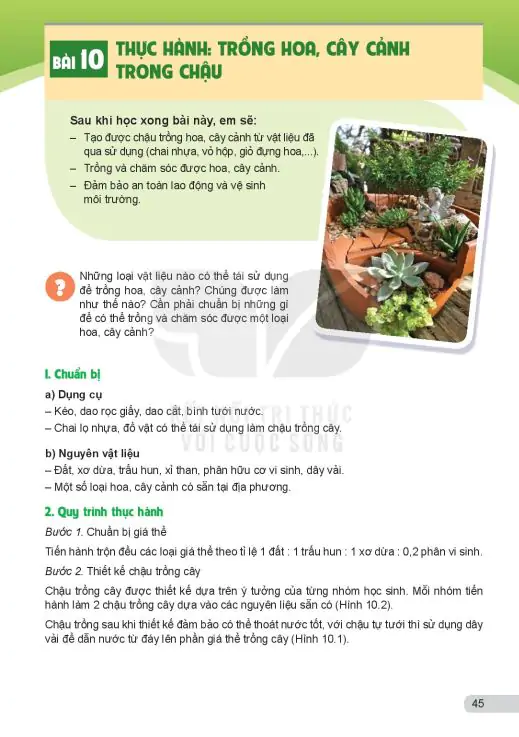 Bài 10: Thực Hành: Trồng Hoa, Cây Cảnh Trong Chậu