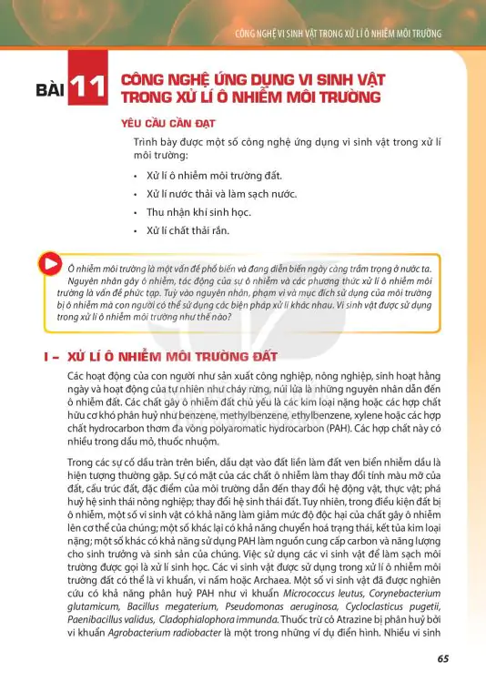 Bài 11: Công Nghệ Ứng Dụng Vi Sinh Vật Trong Xử Lí Ô Nhiễm Môi Trường