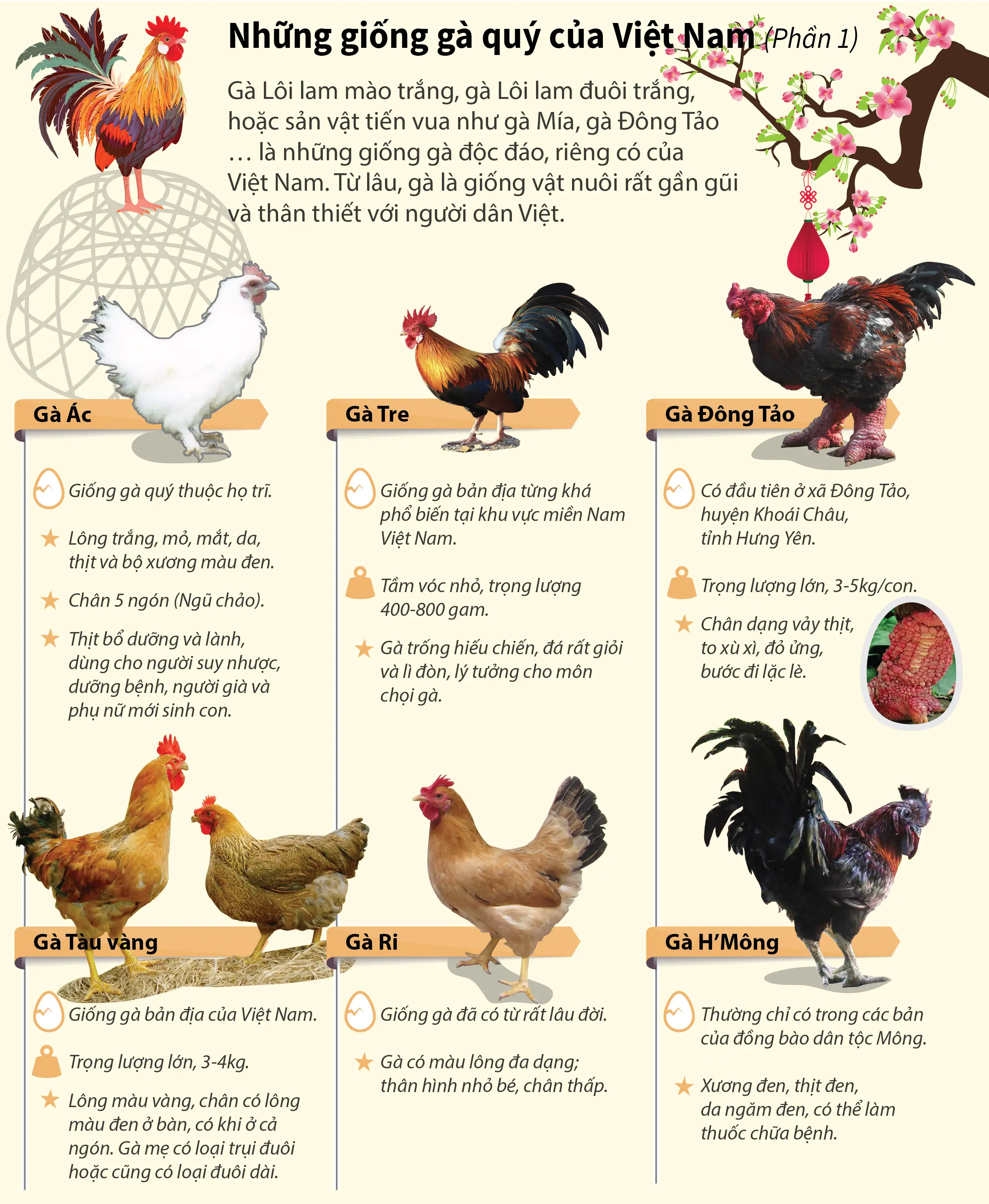 Bài 11. Một số giống gà được nuôi nhiều ở nước ta