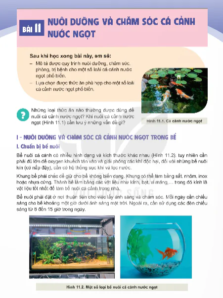 Bài 11: Nuôi Dưỡng Và Chăm Sóc Cá Cảnh Nước Ngọt