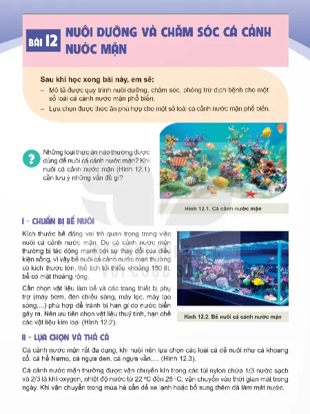 Bài 12: Nuôi Dưỡng Và Chăm Sóc Cá Cảnh Nước Mặn