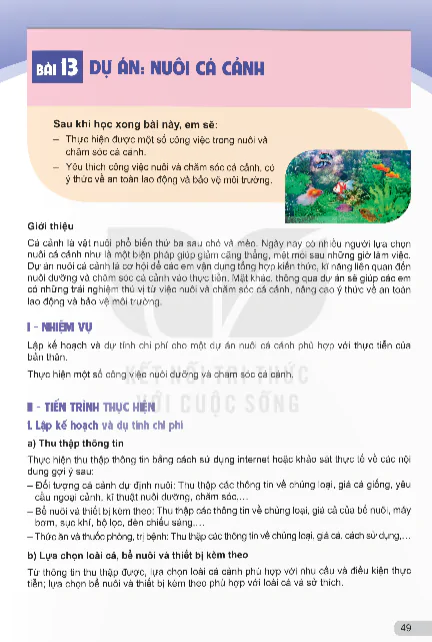 Bài 13: Dự Án: Nuôi Cá Cảnh