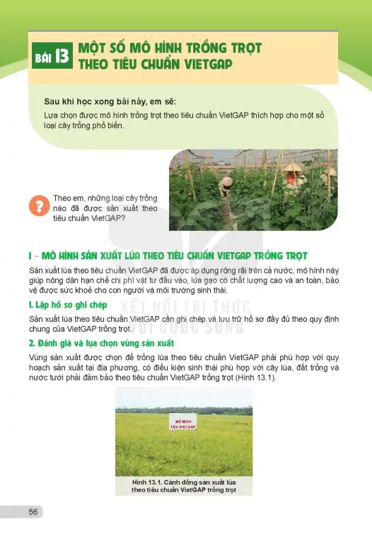 Bài 13: Một Số Mô Hình Trồng Trọt Theo Tiêu Chuẩn VietGAP