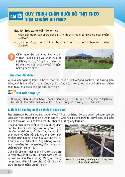 Bài 13: Quy Trình Chăn Nuôi Bò Thịt Theo Tiêu Chuẩn VietGAP