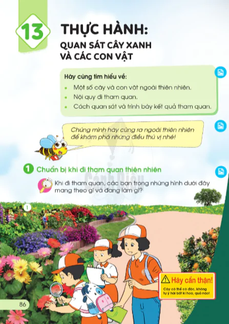 BÀI 13: THỰC HÀNH: QUAN SÁT CÂY XANH VÀ CÁC CON VẬT