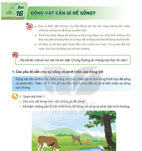 Bài 16: Động Vật Cần Gì Để Sống?