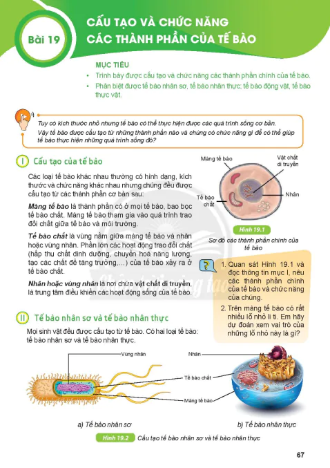 BÀI 19: CẤU TẠO VÀ CHỨC NĂNG CÁC THÀNH PHẦN CỦA TẾ BÀO