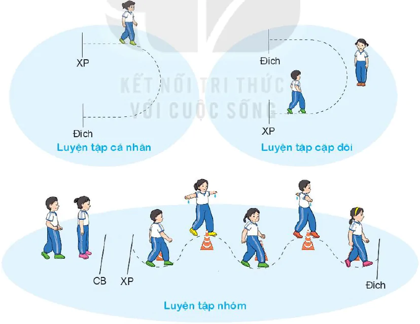 Bài 2. Bài tập phối hợp di chuyển vòng trái, vòng phải