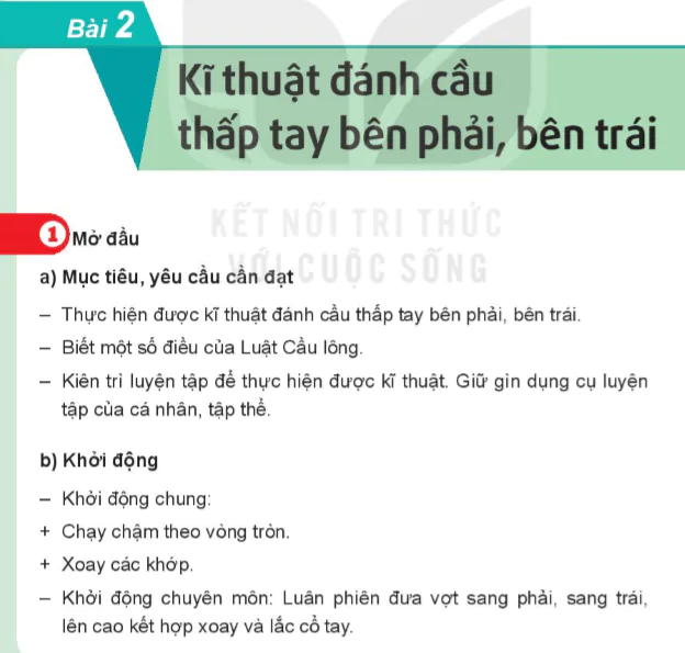 Bài 2: Kĩ thuật đánh cầu thấp tay bên phải, bên trái - Chủ đề 1: Cầu lông