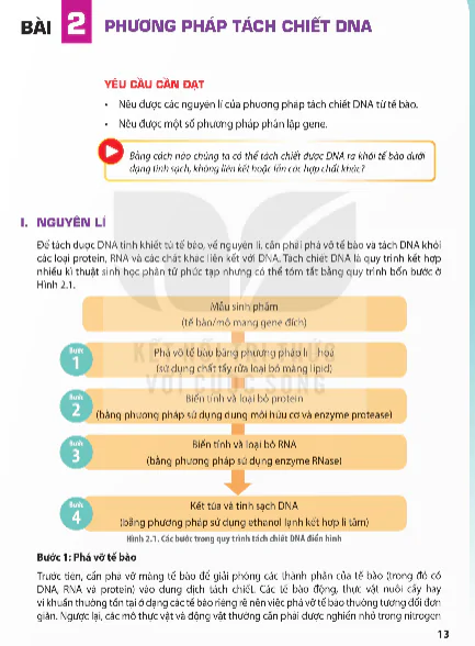 Bài 2: Nguyên Lí Tách Chiết DNA