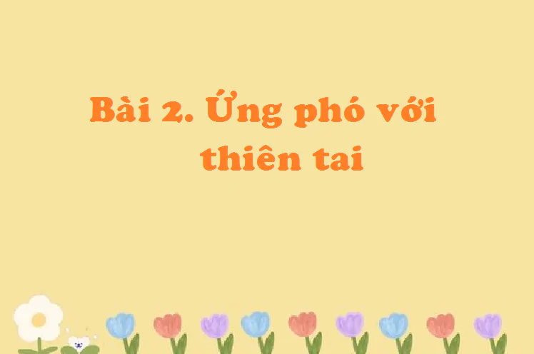 Bài 2. Ứng phó với thiên tai