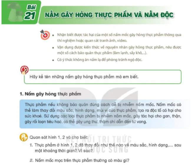 Bài 21: Nấm Gây Hỏng Thực Phẩm Và Nấm Độc