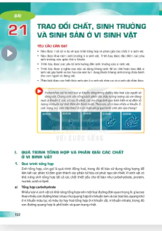 Bài 21: Trao đổi chất, sinh trưởng và sinh sản ở sinh vật