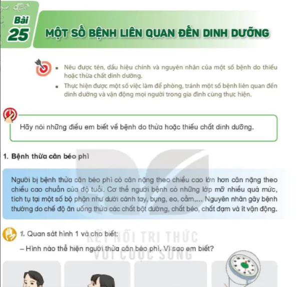 Bài 25: Một Số Bệnh Liên Quan Đến Dinh Dưỡng