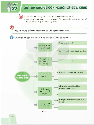Bài 27. Ôn tập chủ đề Con người và sức khỏe