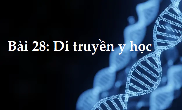 Bài 28: Di truyền y học