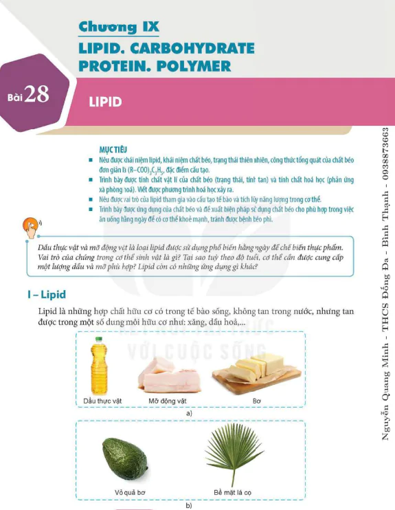 Bài 28. Lipid