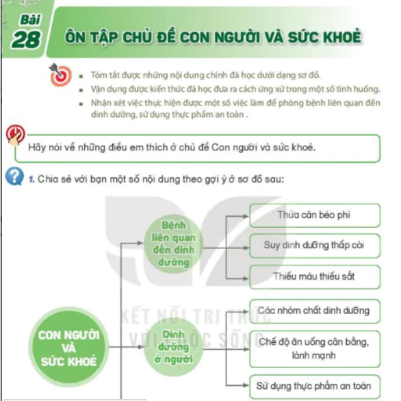 Bài 28: Ôn Tập Chủ Đề Con Người Và Sức Khỏe